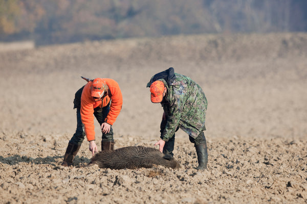 Hog Hunting with Drones: Merging Technology with Tradition