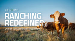 Ranching Redefined: Drones for Livestock Management