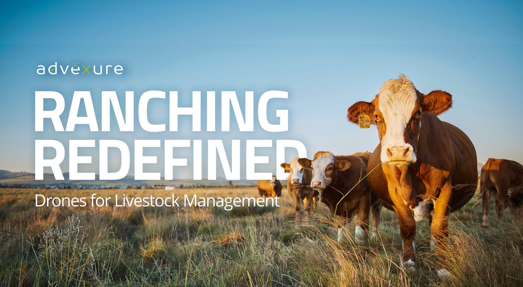 Ranching Redefined: Drones for Livestock Management | Advexure