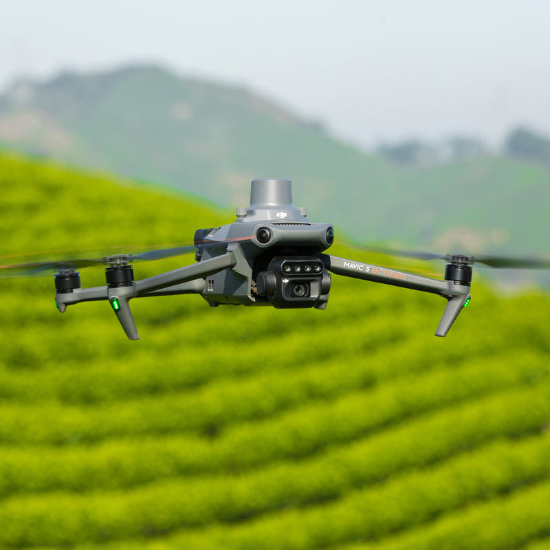 DJI Mavic 3 Multispectral flying over a tea farm