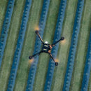 Freefly Astro flying above a crop field