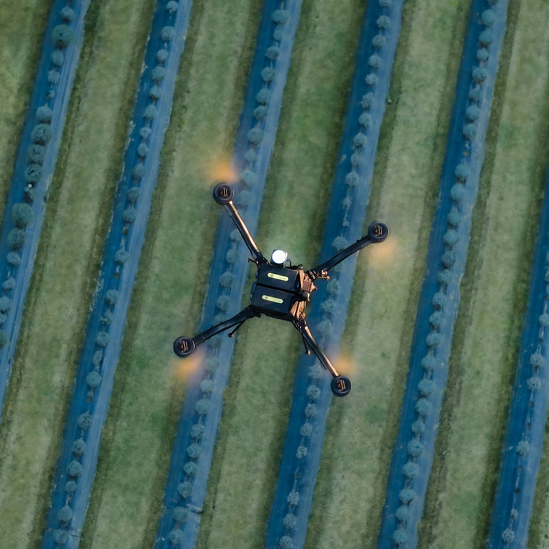 Freefly Astro flying above a crop field