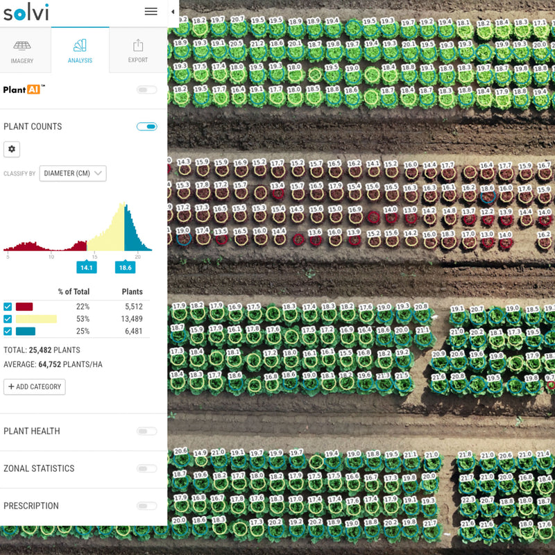 Lettuce Trial in Solvi