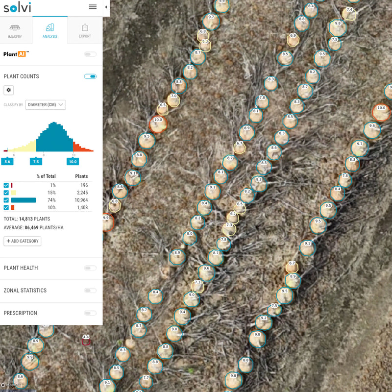 Onion Sizing in Solvi