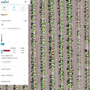 Solvi Row and Gap Analysis of Row Crops