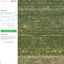 Solvi Weed Detection with PlantAI