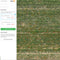 Solvi Weed Detection with PlantAI